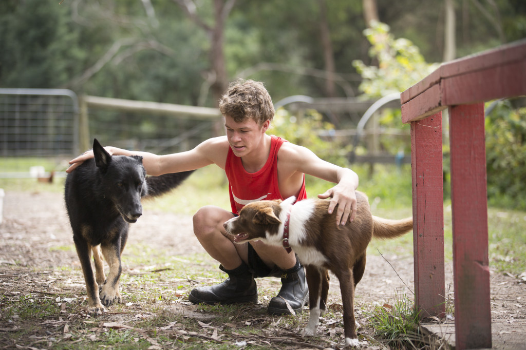 Boy and Animals Goodlife Farm