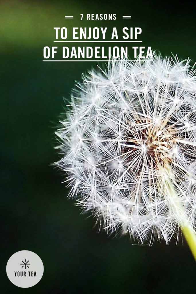 dandelion-tea-pinterest