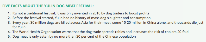 Five Facts About Yulin Dog Festival