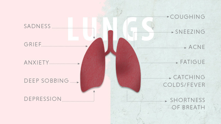 March_blog_digram_lungs